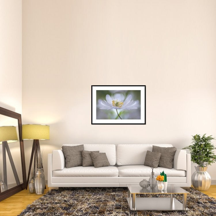 "Nemorosa Nirvana" Framed Digital Print by Mandy Disher, 44x32"