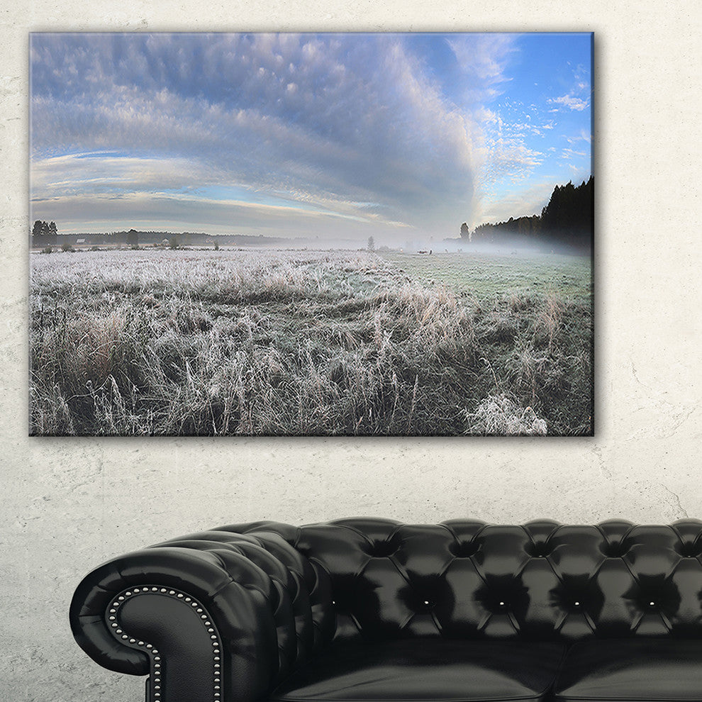 "Hoarfrost on Grass Under Cloudy Sky" Landscape Wall Art, 1 Panel, 60"x28"
