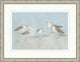 Gulls 2, Giclee Reproduction Artwork