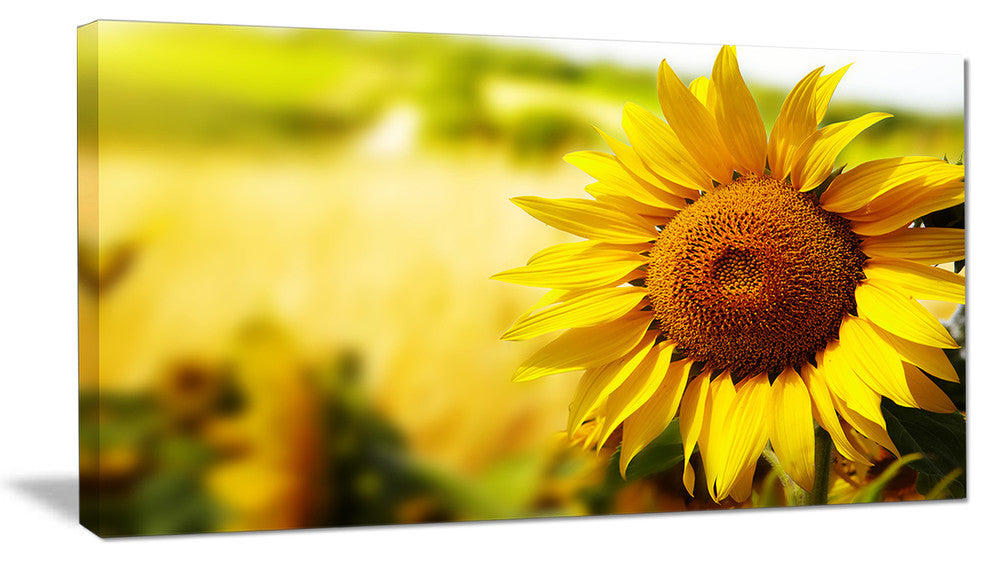 Beautiful Tuscany Sunflower, Floral Canvas Art Print, 32"x16"