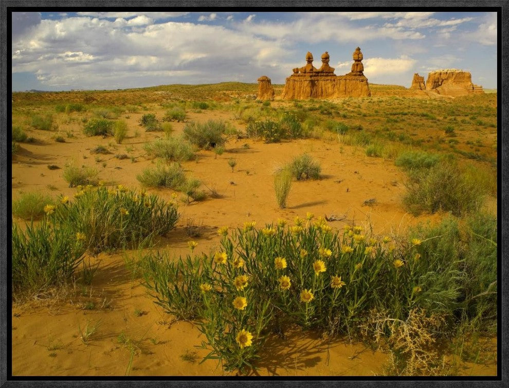 "The Three Judges, Goblin Valley State Park, Utah"  by Tim Fitzharris, 17x13"