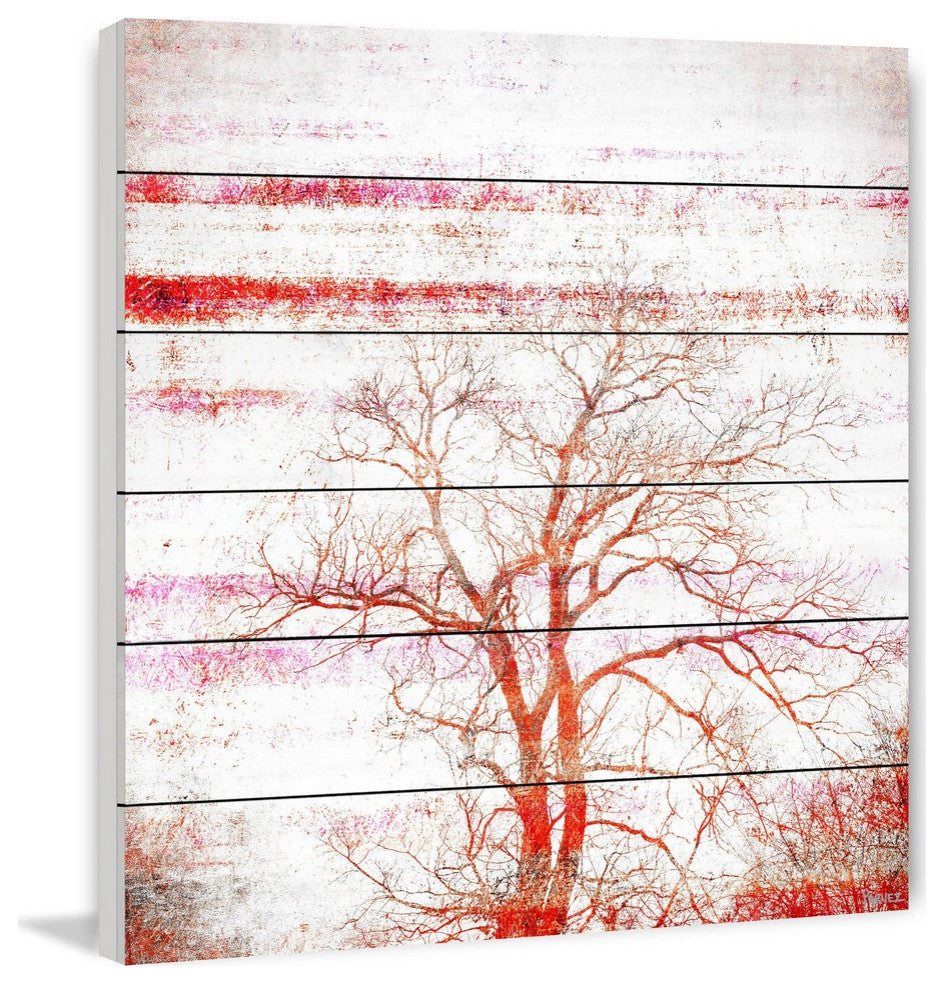 "Orange Tree" Print on White Wood, 40"x40"