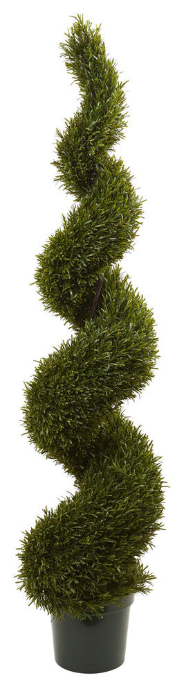 6' Rosemary Spiral Tree, Indoor/Outdoor