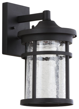 Campo Outdoor Wall Lantern Glass/Metal Integrated Sconce, Black, Width: 6.5"