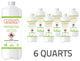 Bio Ethanol Fireplace Fuel 6 Quarts IGNIS Biofuel