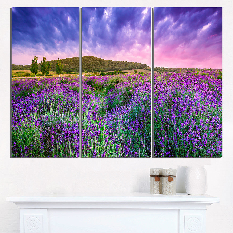 "Summer Lavender Field in Tihany" Metal Wall Art, 3 Panels, 36"x28"
