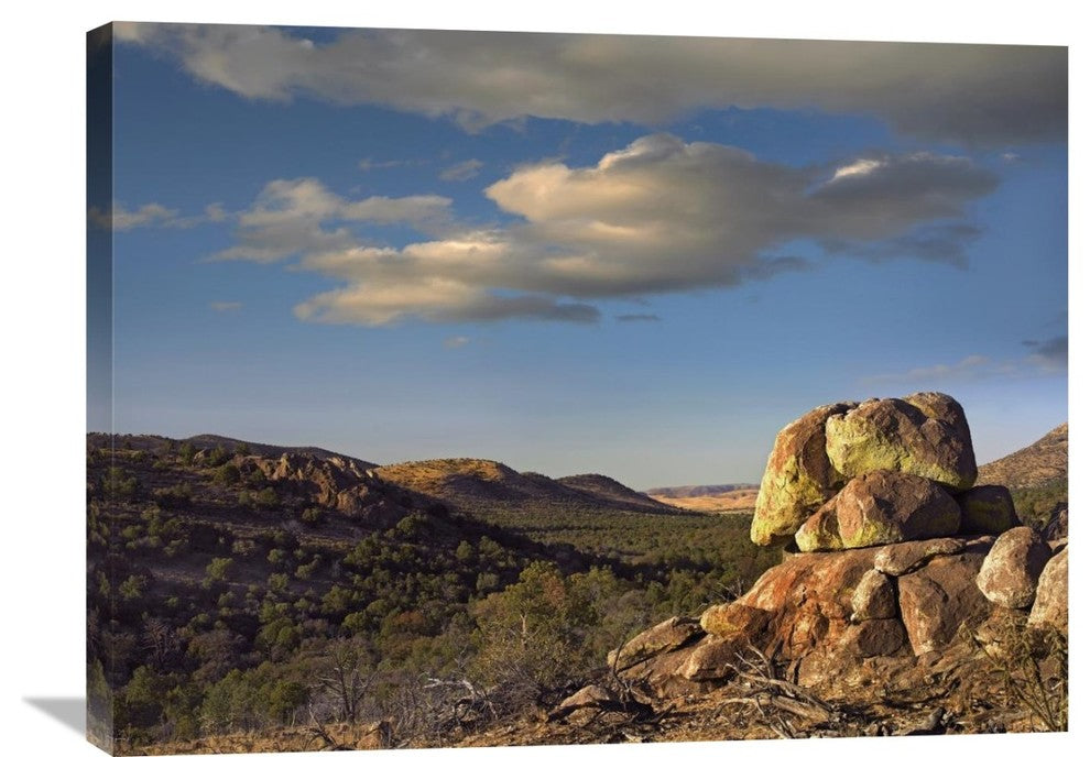 "Rockpile, Davis Mountains, Chihuahuan Desert, Texas" Artwork, 32" x 24"