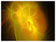 Distant Golden Space Nebula, Floral Canvas Art Print, 40"x30"