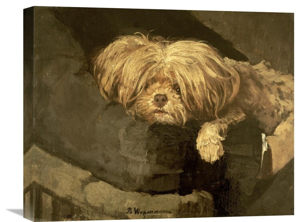 "Resting" Stretched Canvas Giclee by Bertha Wegmann, 22"x18"