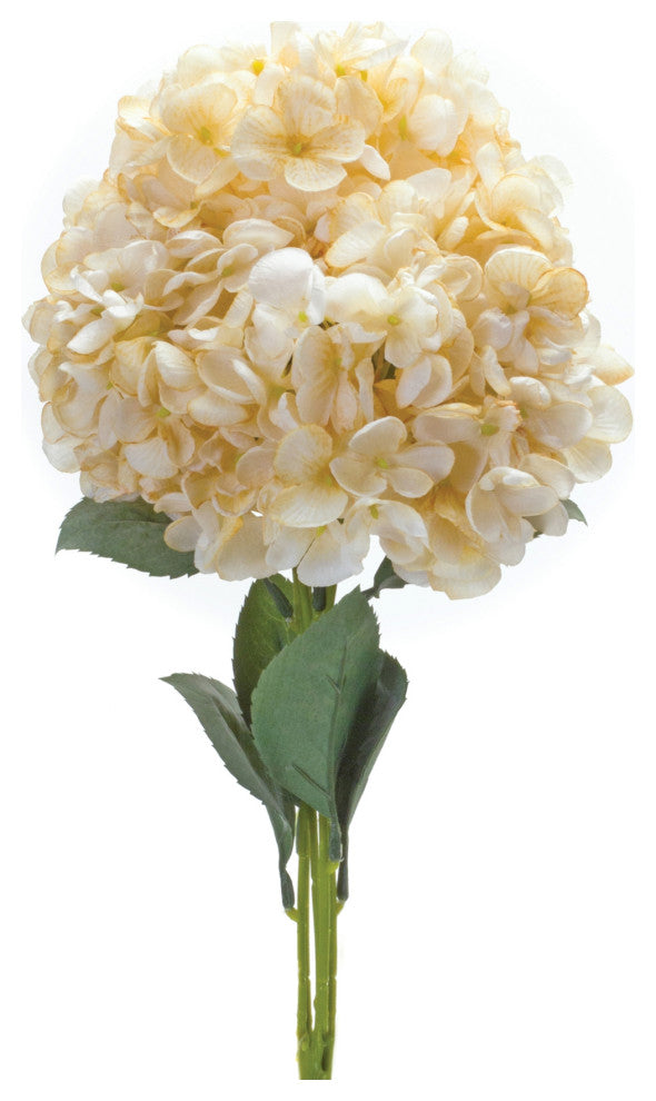 Hydrangea Bush, Set of 2