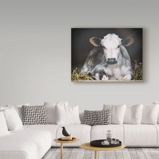 Aledanda 'Busy Day' Canvas Art