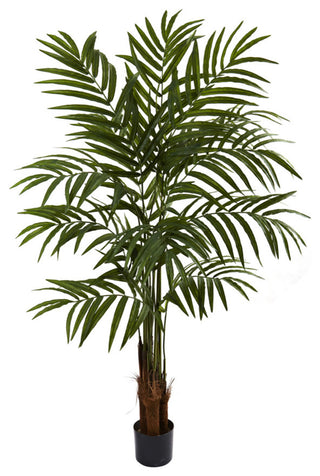 5.5' Big Palm Tree