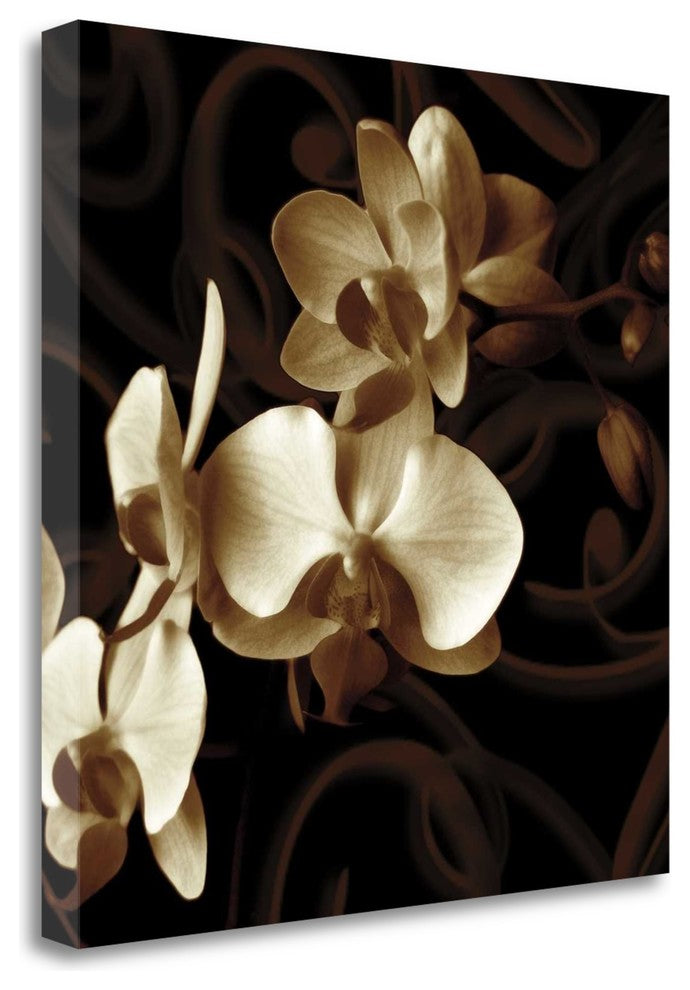 "Grace" By Ily Szilagyi, Giclee Print on Gallery Wrap Canvas, Ready to Hang