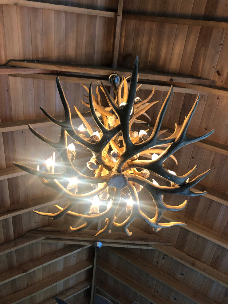Mule Deer Tall Spruce Antler Chandelier Light, Extra Large, No Shades