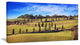 "Cypress Trees Scenic Road Siena Italy" Landscape Wall Art, 40"x20"