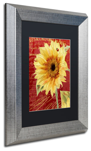 Color Bakery 'Ete Lady Bug' Matted Framed Art, Silver Frame, Black Mat, 11x14