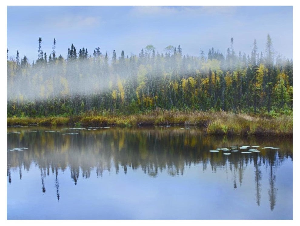 "Fog over lake, Ontario, Canada" Digital Paper Print by Tim Fitzharris, 50"x38"