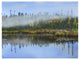 "Fog over lake, Ontario, Canada" Digital Paper Print by Tim Fitzharris, 50"x38"