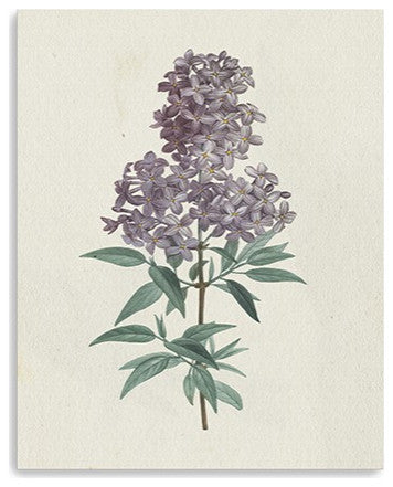 20" Singular Purple Blossom Branch Canvas Wall Art