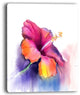 "Red Yellow Hibiscus Flower in Blue" Flower Wall Art, 30"x40"