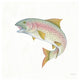 "Gone Fishin Rainbow" Digital Paper Print by Elyse DeNeige, 20"x20"
