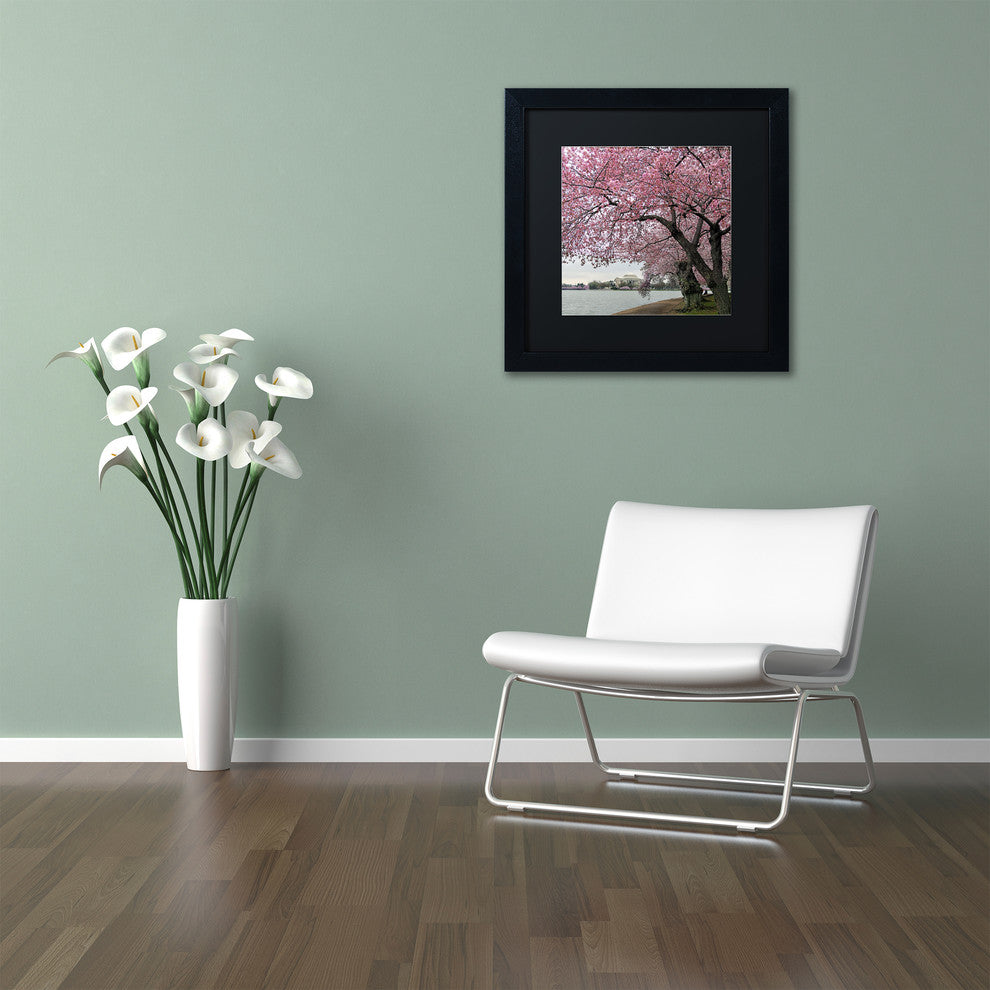 CATeyes ''Tidal Basin Blossoms'' Matted Framed Art, 16x16