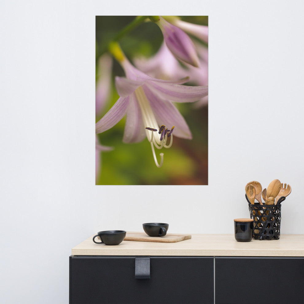 Close-up Hosta Bloom Nature Photography, Floral Unframed Wall Art Print, 24" X 36"