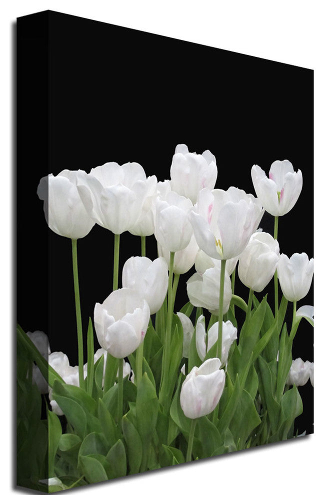 'White Tulips' Canvas Art by Kathie McCurdy