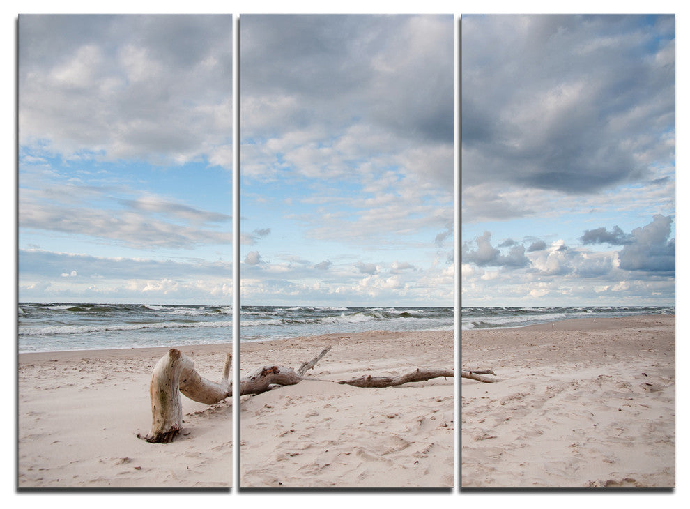 "Large Piece of Wood on Beach" Metal Wall Art, 3 Panels, 36"x28"