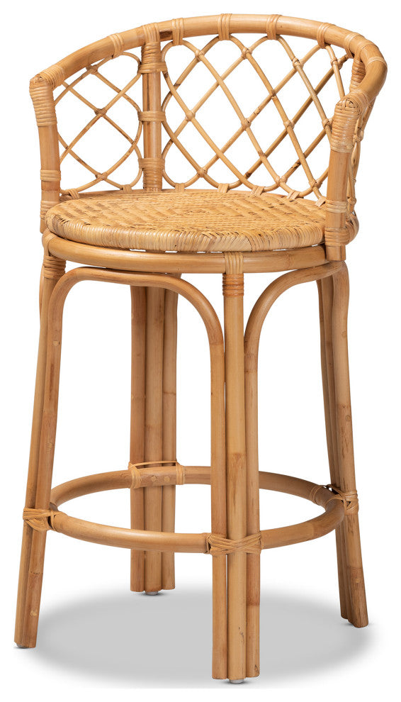 Steele Modern Bohemian Rattan Collection, Natural Brown, Counter Stool