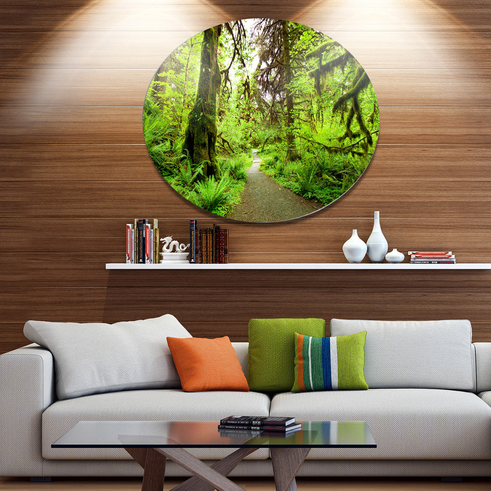 Footpath In Redwood Rain Forest, Landscape Disc Metal Artwork, 11"
