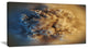 Large Macro Prickly Texture Brown, Abstract Canvas Wall Art, 32"x16"