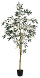Vickerman Potted Olive Tree, 6'