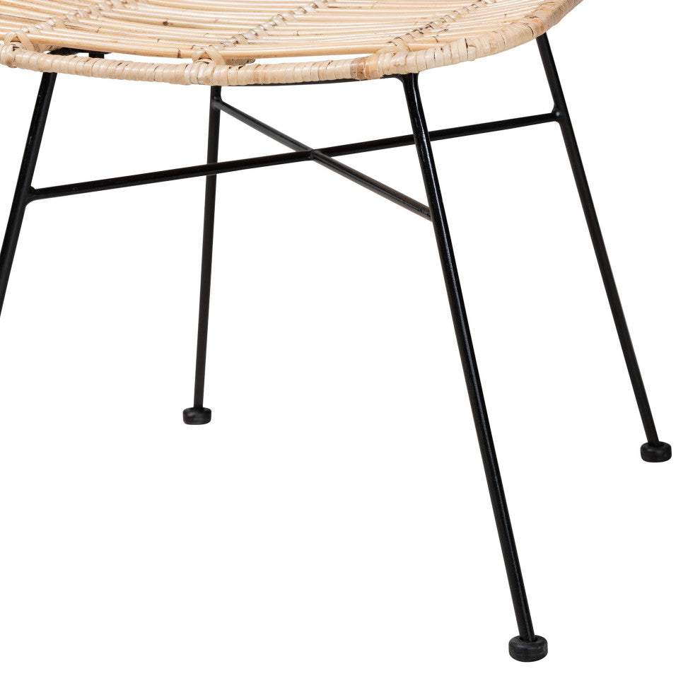 Rosalin Rattan and Metal Dining Chairs, Set of 2