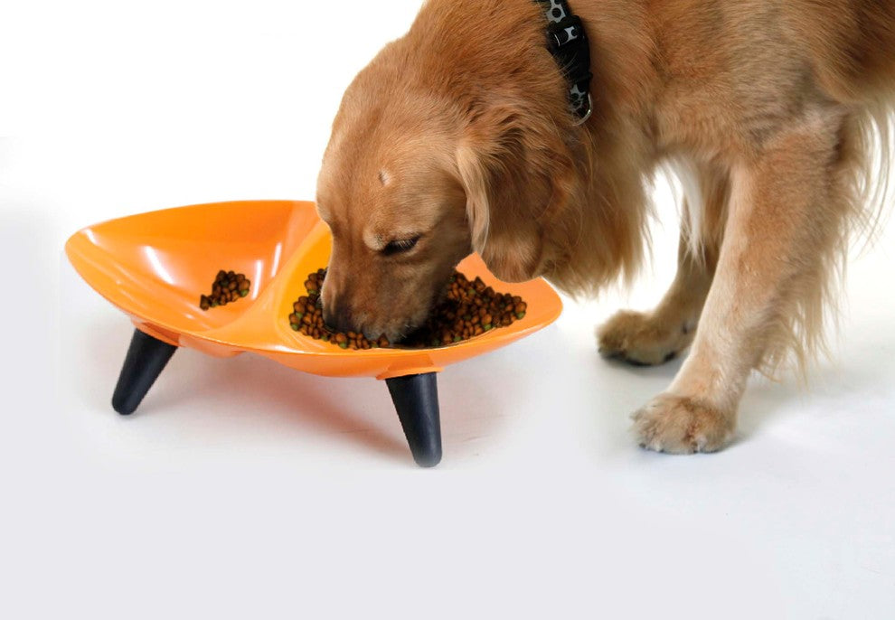 Melamine Couture Sculpture Double Food and Water Dog Bowl