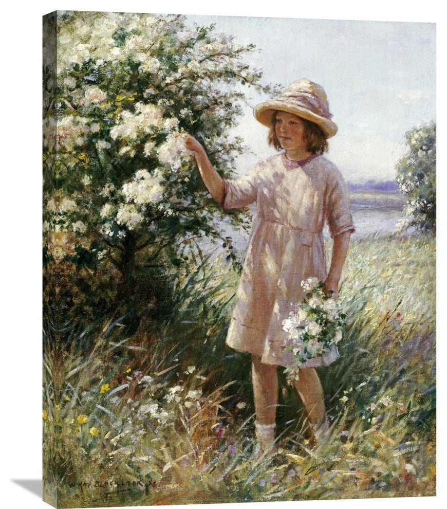 "Picking May Blossom" Stretched Canvas Giclee by William Kay Blacklock, 24"x30"