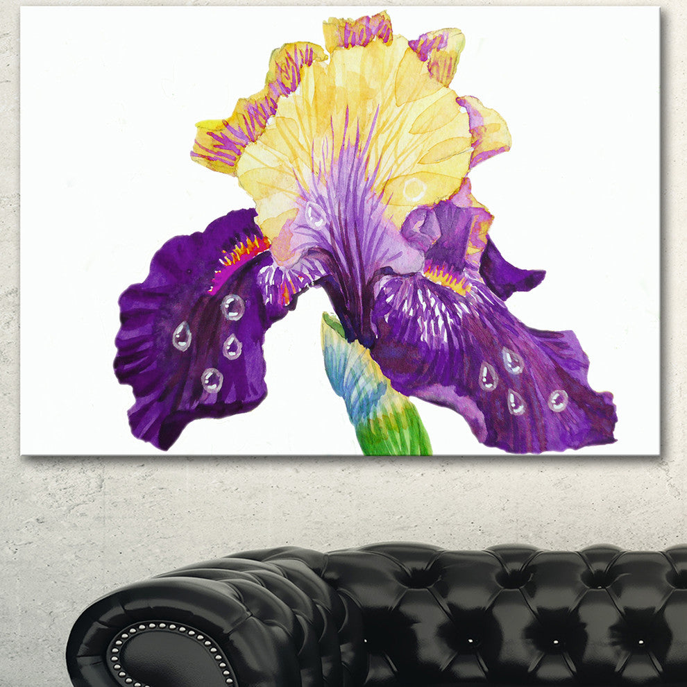Blooming Blue Yellow Iris, Floral Canvas Art print, 40"x30"