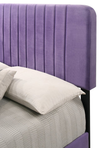 Lodi Bed, Purple, Queen