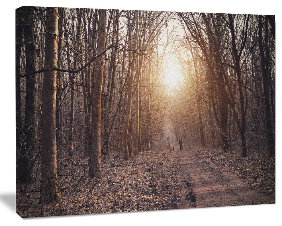 Forest Pathway View at Sunset, Modern Forest Canvas Art, 20"x12"