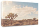 Sunshine & Joshua Trees by Myan Soffia, Print on Canvas, 40" x 32"