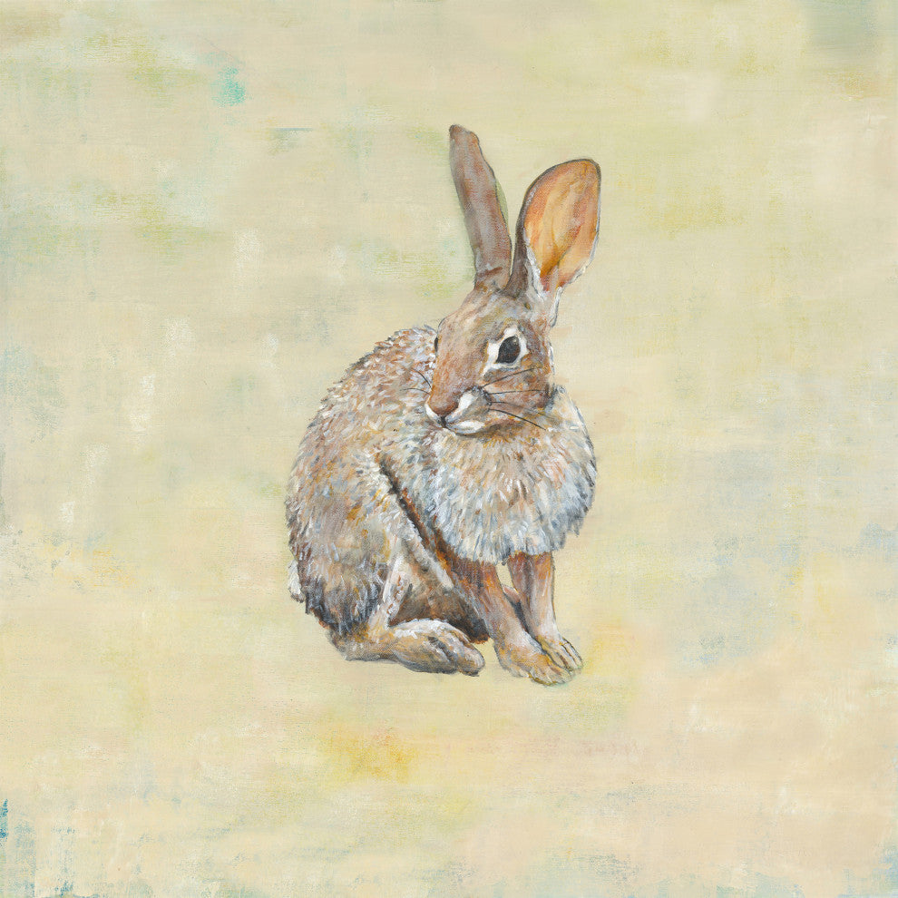 36x36 Cottontail, Unframed Artwork