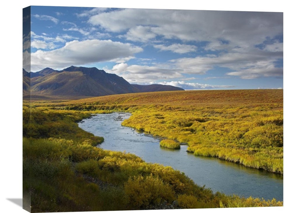 "North Klondike River, The Ogilvie Mountains, Yukon Territory, Canada" Artwork