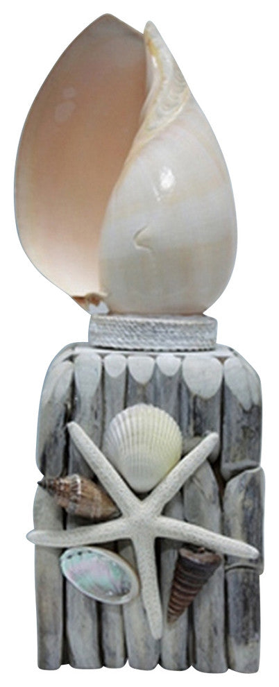 Shell Night Light