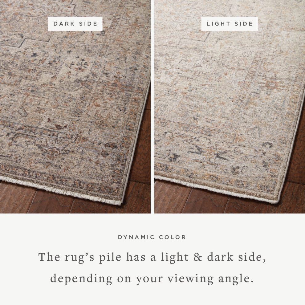 Loloi Lyra Area Rug, Natural / Gold, 2'-3" X 3'-10"