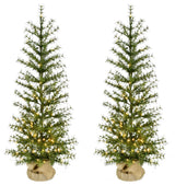 4' Farmhouse Fir Christmas Tree With Burlap Bag and Warm White LED Lights, Set o