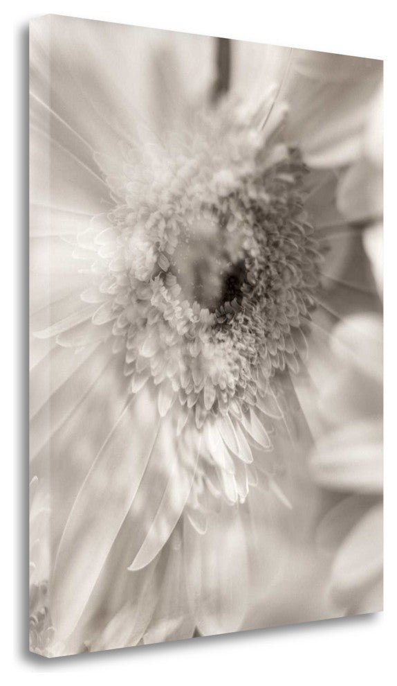 "Florison - 5" By Alan Blaustein, Giclee Print on Gallery Wrap Canvas
