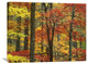 "Maple Trees In Autumn, Great Smoky Mountains National Park, Tennessee" Artwork