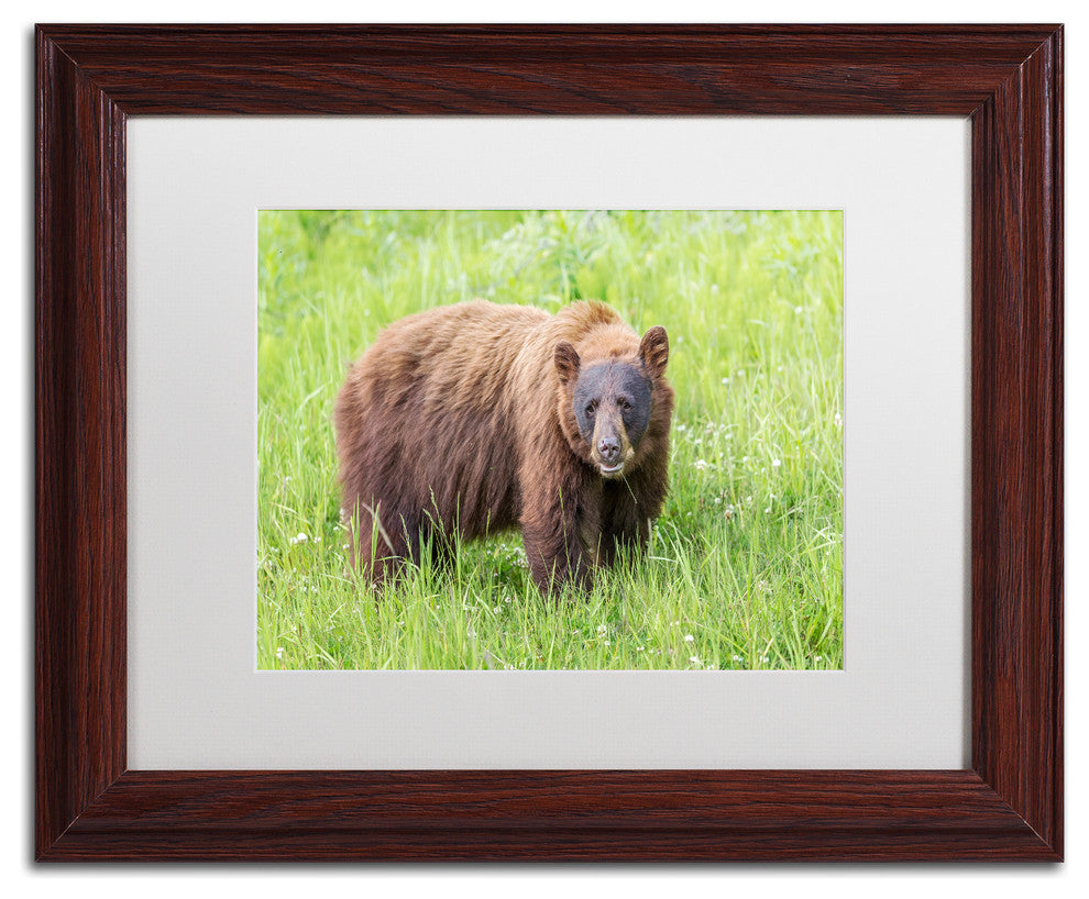 Pierre Leclerc 'Cinnamon Bear' Matted Framed Art, Wood Frame, White, 14x11