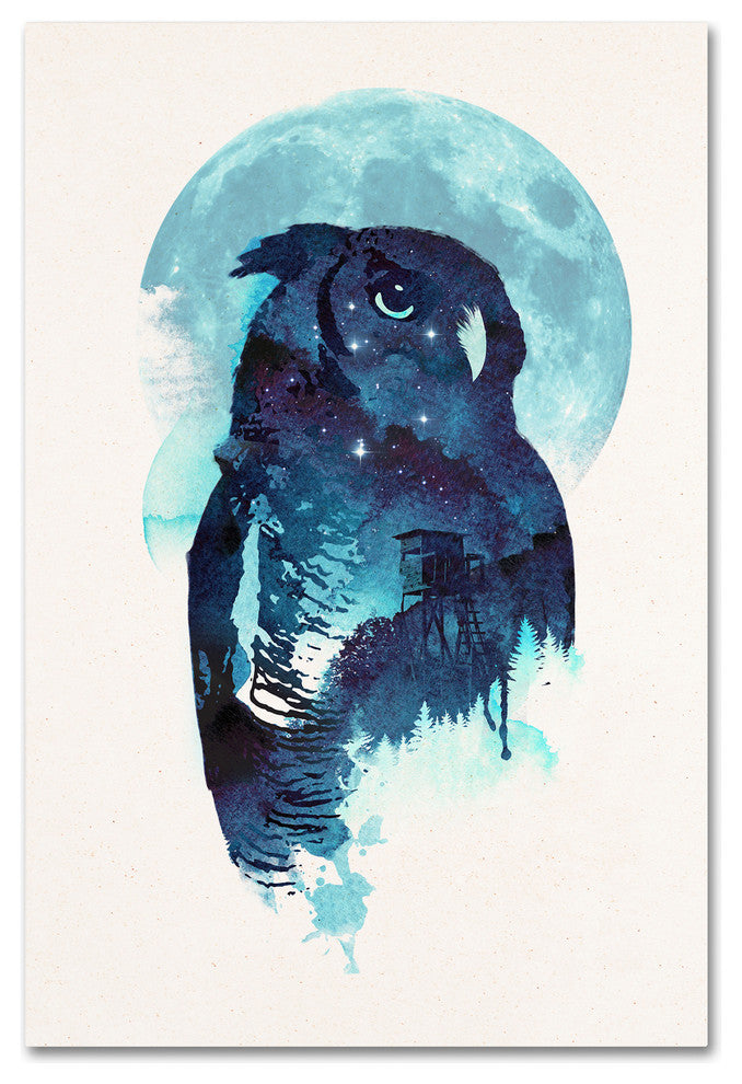 Robert Farkas 'Midnight Owl' Canvas Art, 19x12