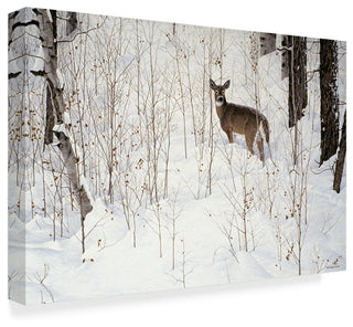 Ron Parker 'Deep Snow Whitetail' Canvas Art, 47"x30"